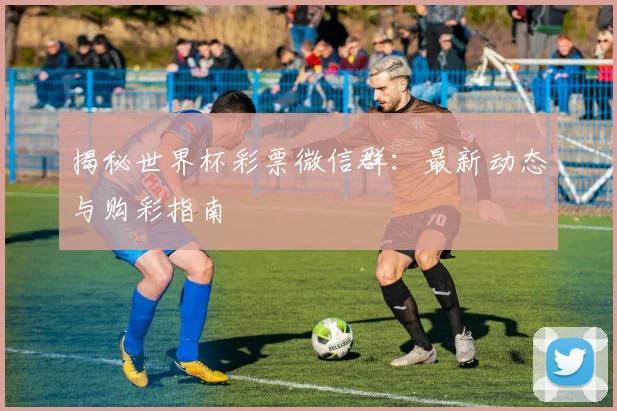 揭秘世界杯彩票微信群：最新动态与购彩指南