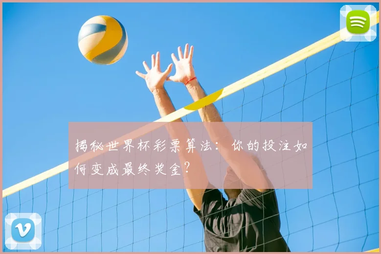 揭秘世界杯彩票算法:你的投注如何变成最终奖金?