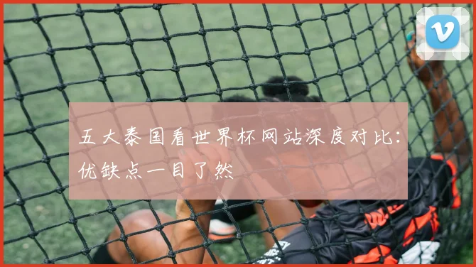 五大泰国看世界杯网站深度对比:优缺点一目了然