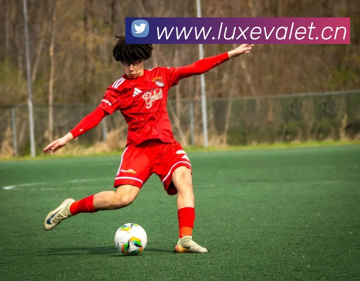 ayx在线登录入口品牌故事