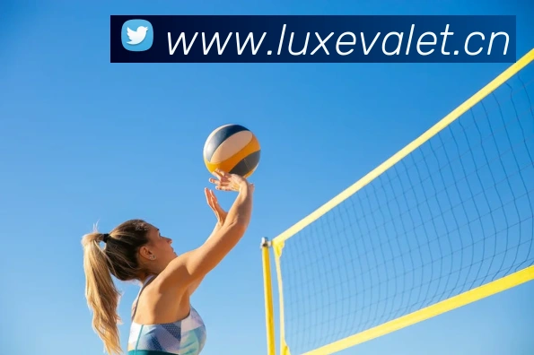 ayx在线登录入口服务体系